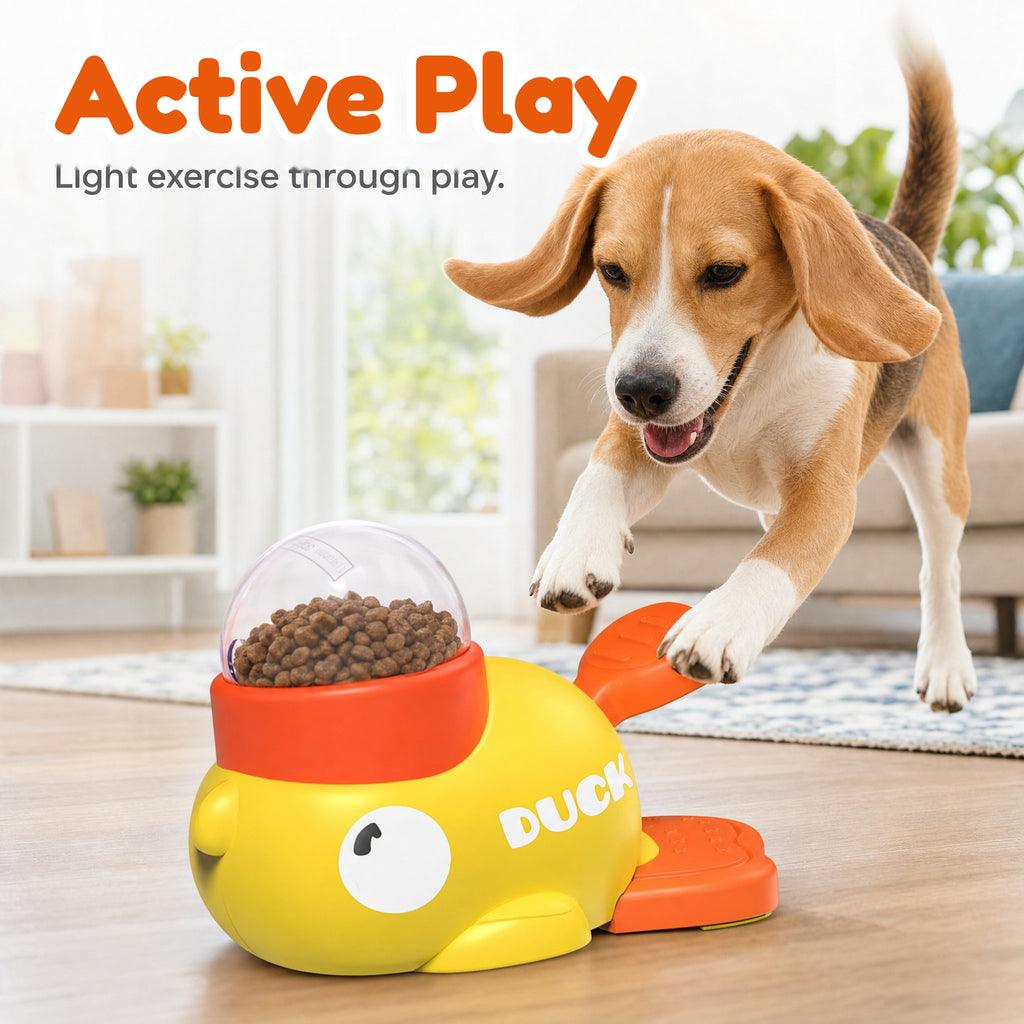 Numeo™  Pet Interactive Feeding Toy